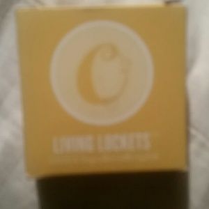 Large locket with clear stones